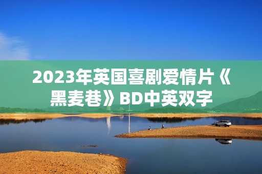 2023年英国喜剧爱情片《黑麦巷》BD中英双字