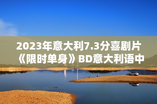 2023年意大利7.3分喜剧片《限时单身》BD意大利语中字