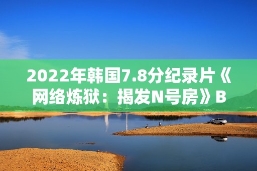 2022年韩国7.8分纪录片《网络炼狱：揭发N号房》BD韩语中字