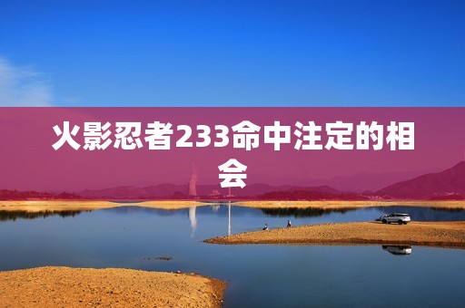 火影忍者233命中注定的相会