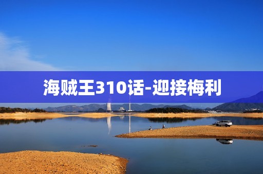 海贼王310话-迎接梅利