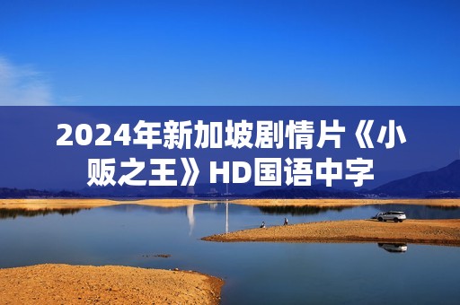 2024年新加坡剧情片《小贩之王》HD国语中字