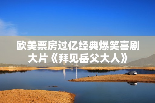 欧美票房过亿经典爆笑喜剧大片《拜见岳父大人》