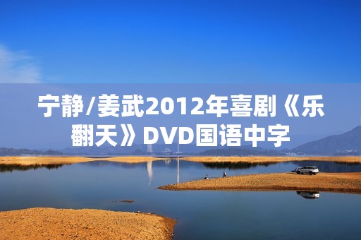 宁静/姜武2012年喜剧《乐翻天》DVD国语中字