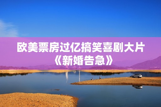 欧美票房过亿搞笑喜剧大片《新婚告急》