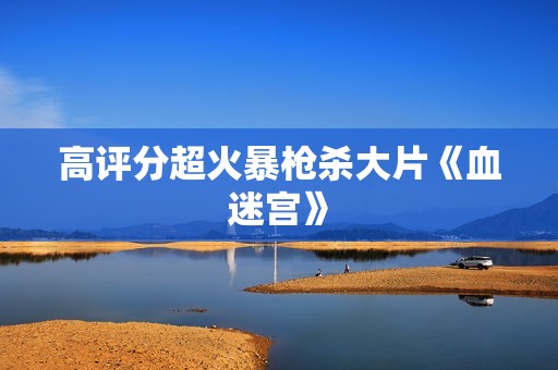 高评分超火暴枪杀大片《血迷宫》