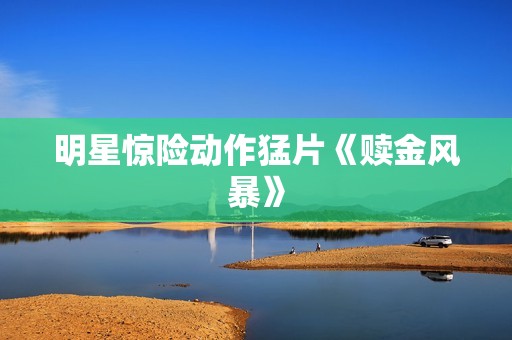 明星惊险动作猛片《赎金风暴》