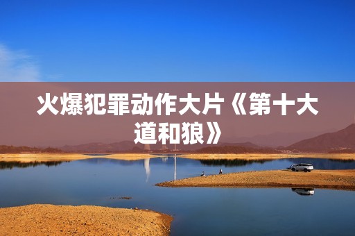 火爆犯罪动作大片《第十大道和狼》
