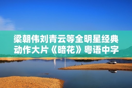 梁朝伟刘青云等全明星经典动作大片《暗花》粤语中字