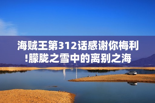 海贼王第312话感谢你梅利!朦胧之雪中的离别之海