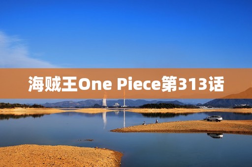 海贼王One Piece第313话