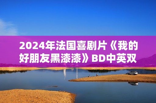 2024年法国喜剧片《我的好朋友黑漆漆》BD中英双字
