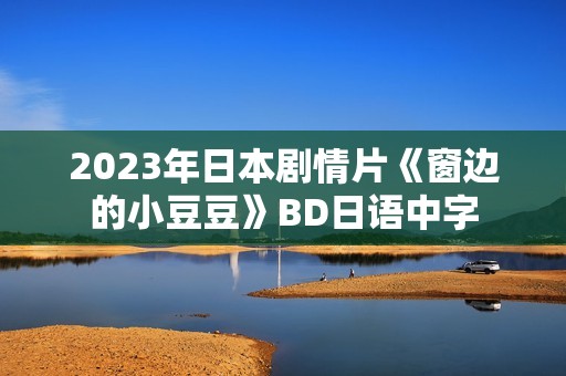 2023年日本剧情片《窗边的小豆豆》BD日语中字