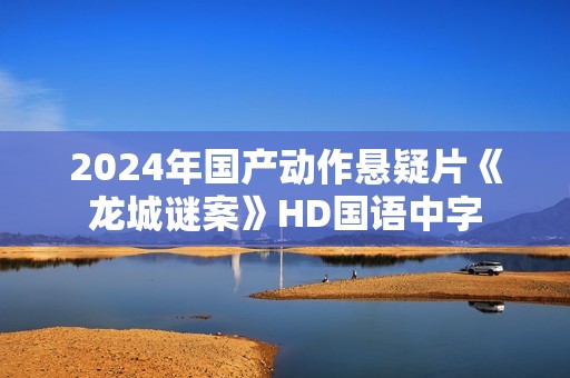 2024年国产动作悬疑片《龙城谜案》HD国语中字