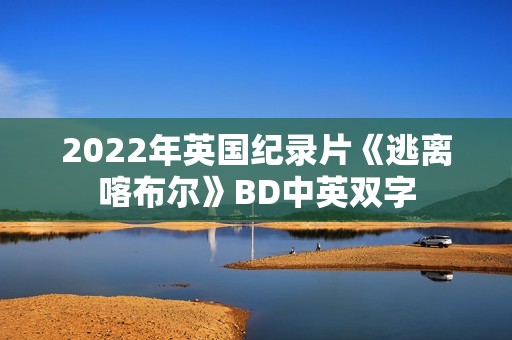 2022年英国纪录片《逃离喀布尔》BD中英双字
