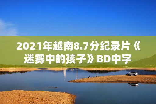 2021年越南8.7分纪录片《迷雾中的孩子》BD中字