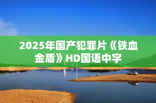 2025年国产犯罪片《铁血金盾》HD国语中字
