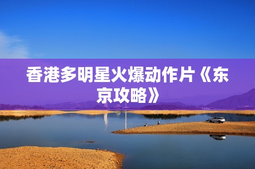 香港多明星火爆动作片《东京攻略》