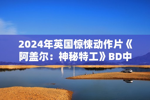 2024年英国惊悚动作片《阿盖尔：神秘特工》BD中英双字修正版