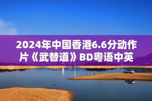 2024年中国香港6.6分动作片《武替道》BD粤语中英双字