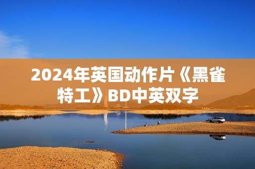 2024年英国动作片《黑雀特工》BD中英双字