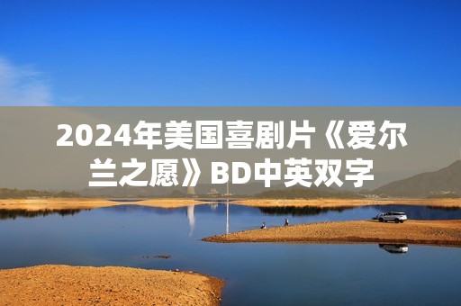 2024年美国喜剧片《爱尔兰之愿》BD中英双字