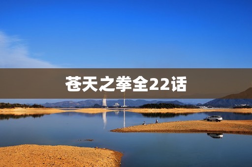 苍天之拳全22话