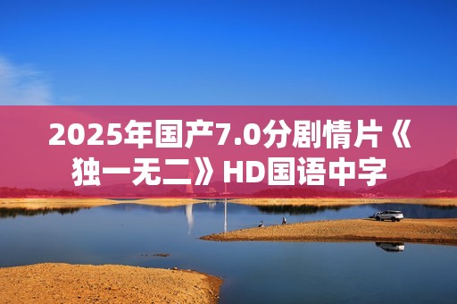 2025年国产7.0分剧情片《独一无二》HD国语中字