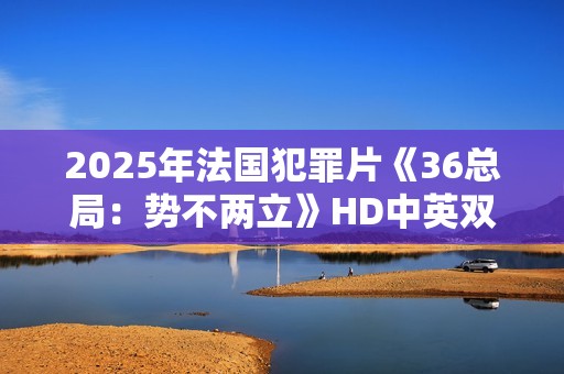 2025年法国犯罪片《36总局：势不两立》HD中英双字