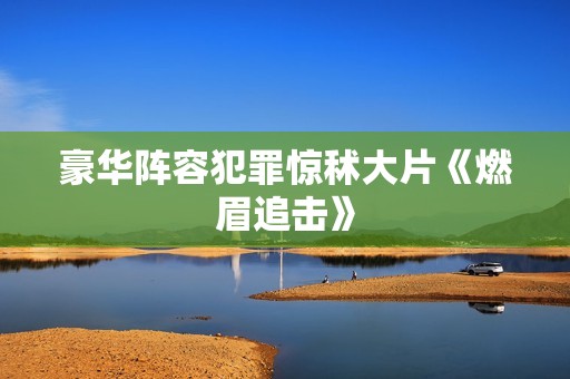 豪华阵容犯罪惊秫大片《燃眉追击》
