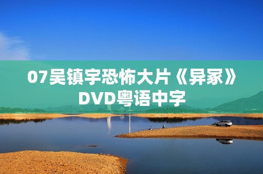 07吴镇宇恐怖大片《异冢》DVD粤语中字