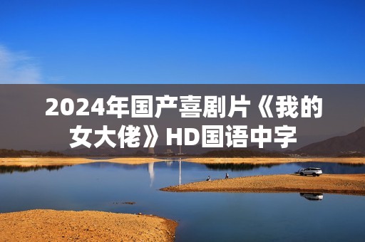 2024年国产喜剧片《我的女大佬》HD国语中字