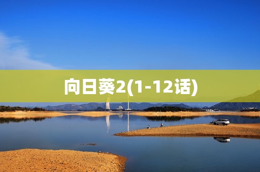 向日葵2(1-12话)
