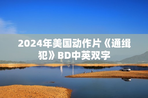 2024年美国动作片《通缉犯》BD中英双字