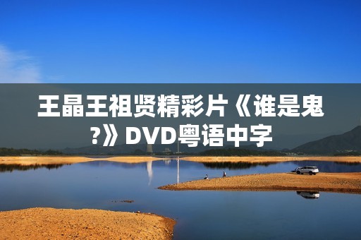 王晶王祖贤精彩片《谁是鬼?》DVD粤语中字