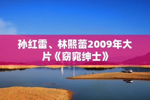 孙红雷、林熙蕾2009年大片《窈窕绅士》