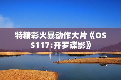 特精彩火暴动作大片《OSS117:开罗谍影》