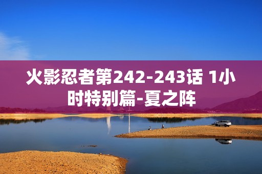 火影忍者第242-243话 1小时特别篇-夏之阵