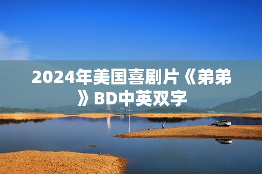 2024年美国喜剧片《弟弟》BD中英双字