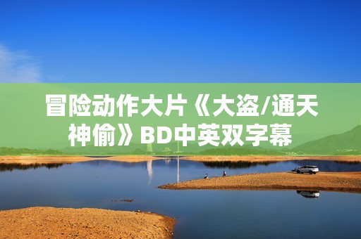 冒险动作大片《大盗/通天神偷》BD中英双字幕