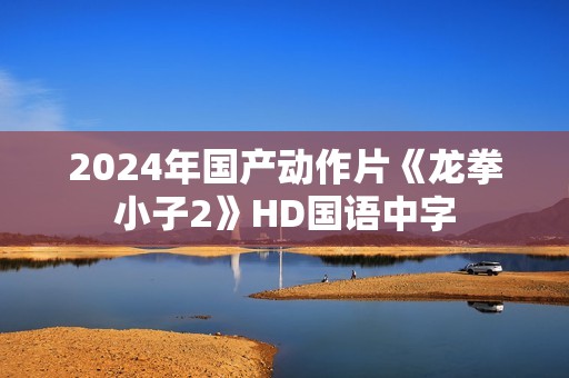2024年国产动作片《龙拳小子2》HD国语中字