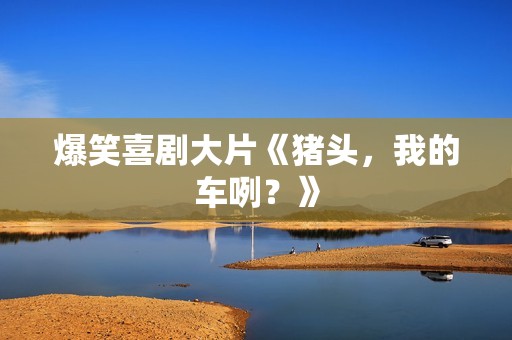 爆笑喜剧大片《猪头，我的车咧？》