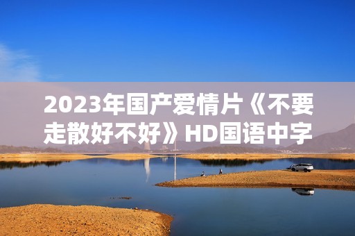 2023年国产爱情片《不要走散好不好》HD国语中字