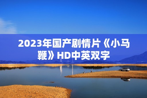 2023年国产剧情片《小马鞭》HD中英双字