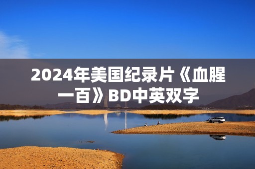 2024年美国纪录片《血腥一百》BD中英双字