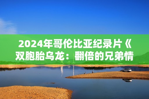 2024年哥伦比亚纪录片《双胞胎乌龙：翻倍的兄弟情》HD西班牙语中字