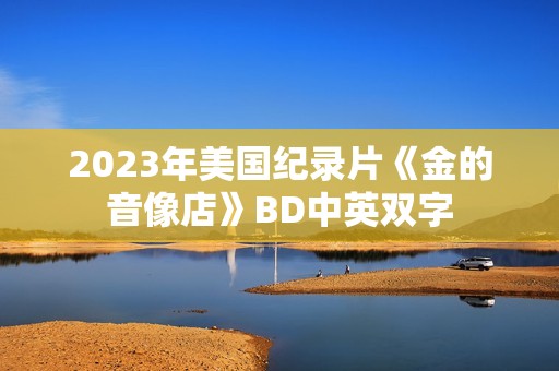 2023年美国纪录片《金的音像店》BD中英双字