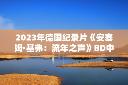2023年德国纪录片《安塞姆·基弗：流年之声》BD中英双字