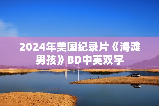 2024年美国纪录片《海滩男孩》BD中英双字
