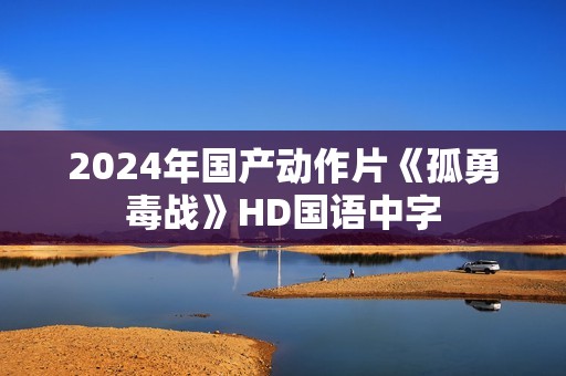 2024年国产动作片《孤勇毒战》HD国语中字